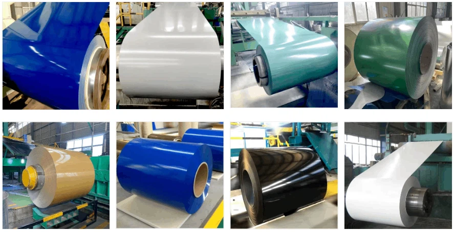 Pre-painted Galvanized Steel Coil PPGI / PPGL Pre-painted Galvanized Steel Coil PPGI / PPGL